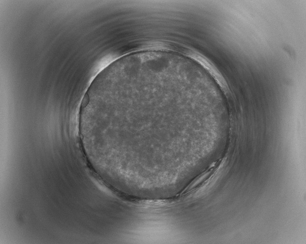 X0000116570858201001071153