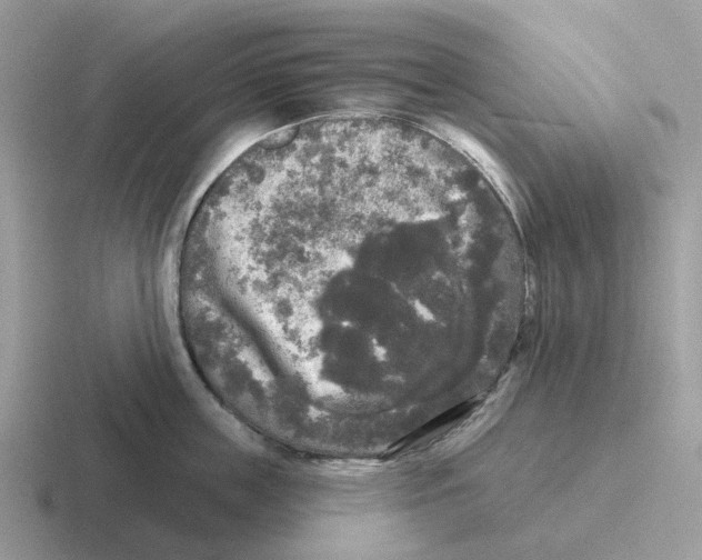 X0000116570859201001071153