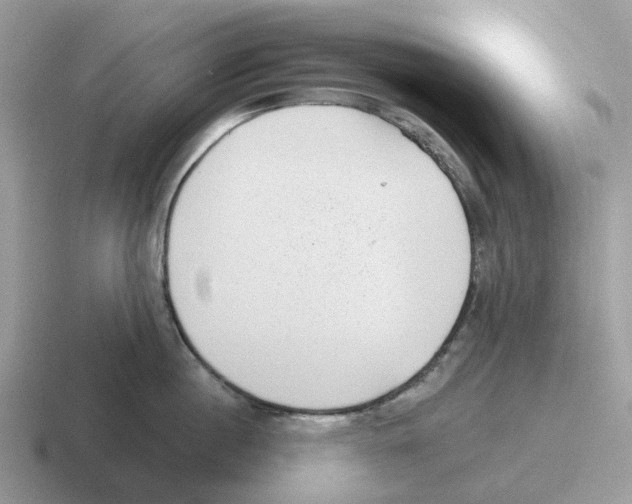 X0000116570860201001071153