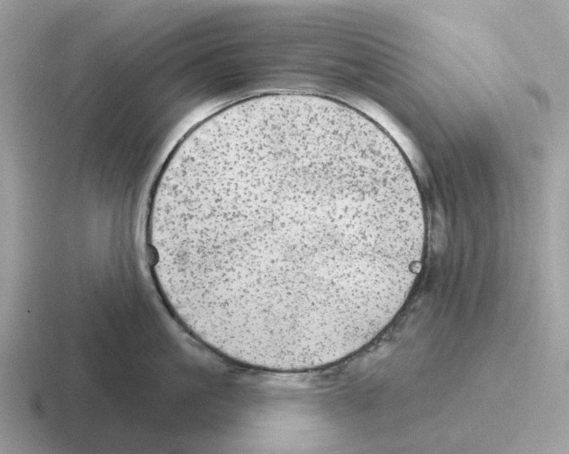 X0000116570861201001071153