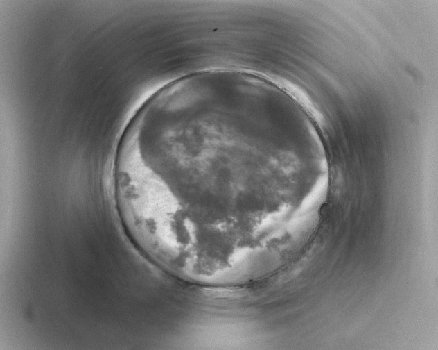 X0000116570863201001071153