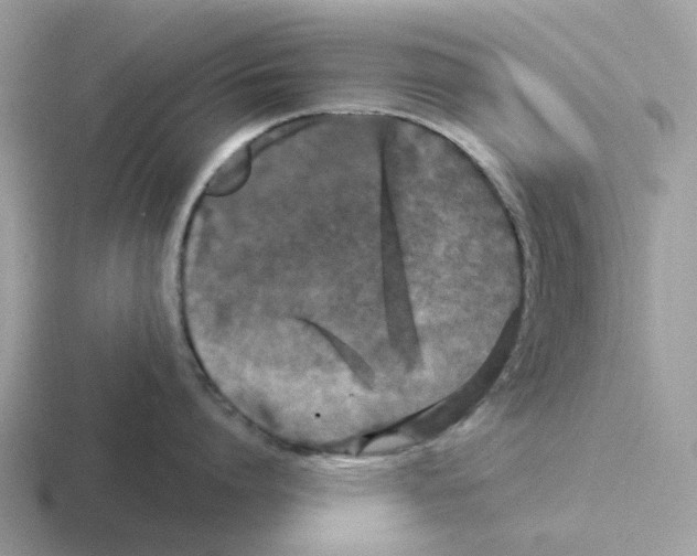 X0000116570864201001071153