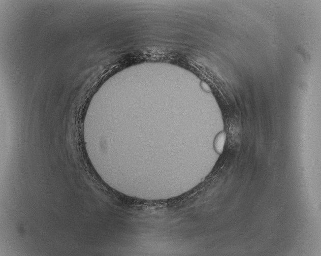 X0000116570865201001071153