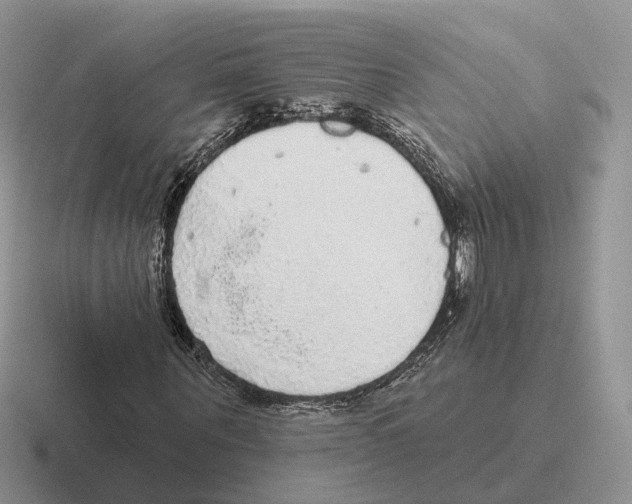 X0000116570867201001071153