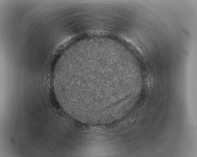 X0000116570870201001071153