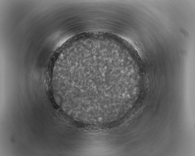 X0000116570871201001071153