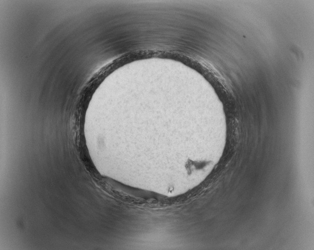 X0000116570872201001071153