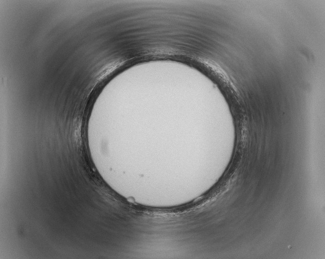 X0000116570873201001071153