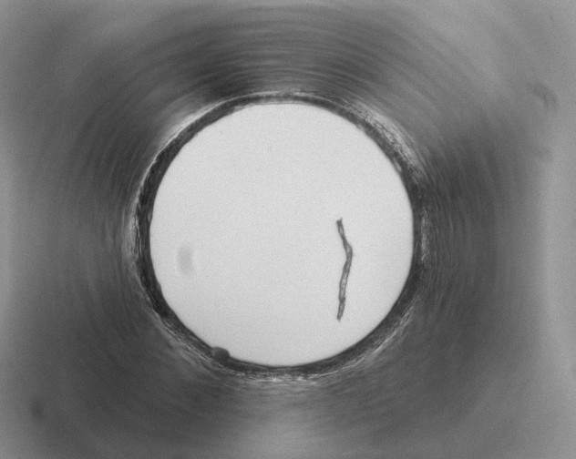 X0000116570876201001071152