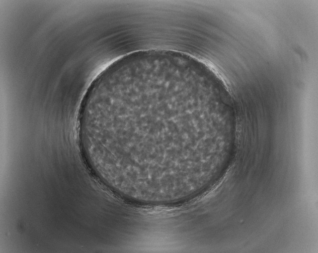 X0000116570879201001071152