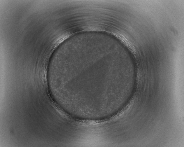 X0000116570881201001071152