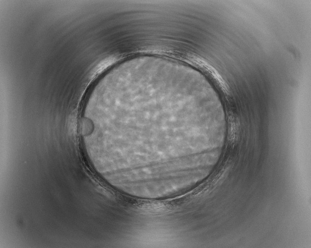 X0000116570882201001071152