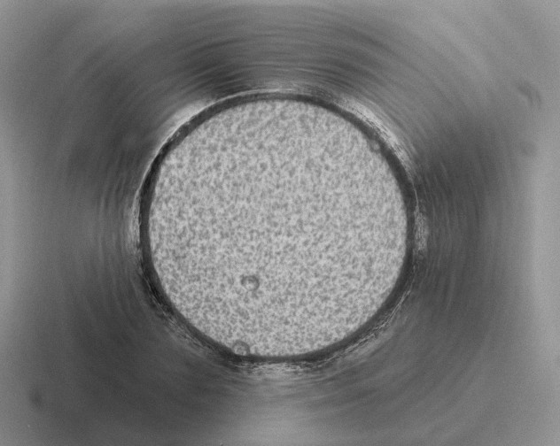 X0000116570883201001071152