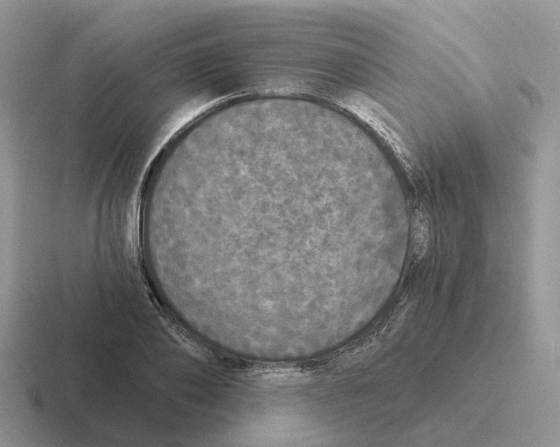 X0000116570886201001071152