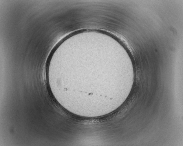 X0000116570887201001071152