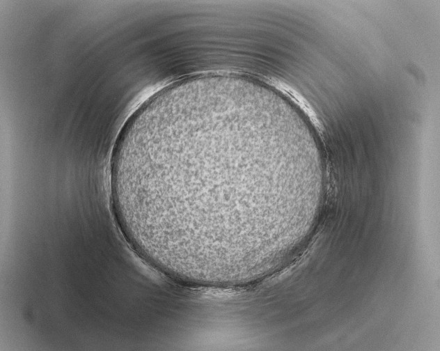 X0000116570890201001071152