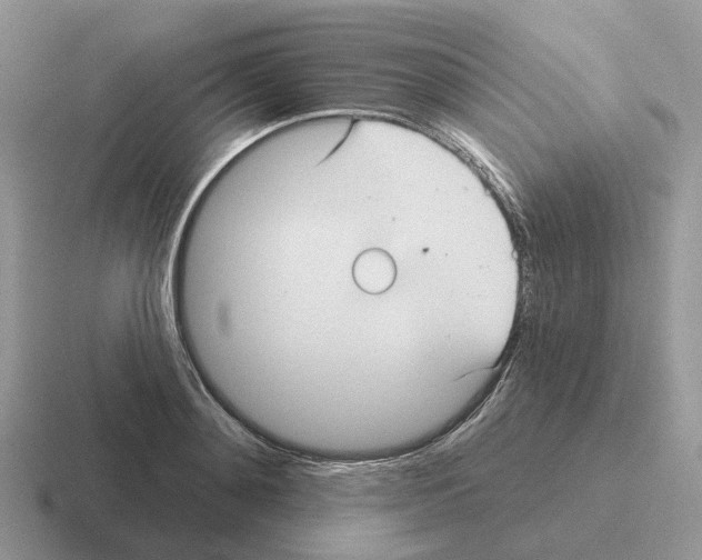 X0000116570892201001071152