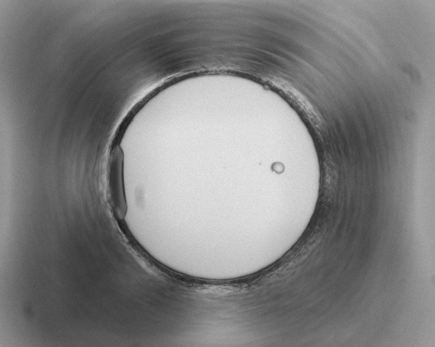 X0000116570894201001071152