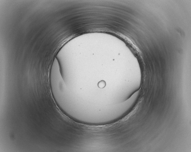 X0000116570897201001071152