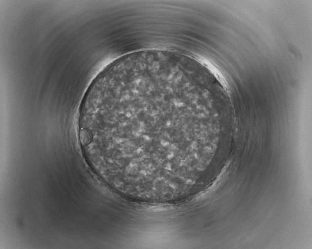 X0000116570899201001071152