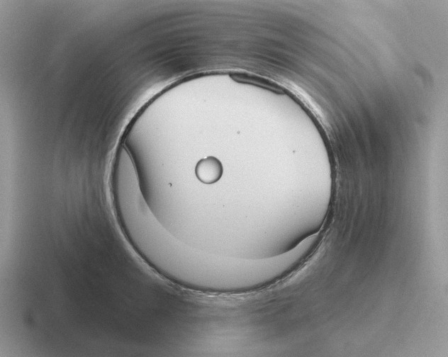 X0000116570901201001071152