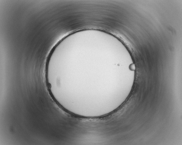 X0000116570902201001071152