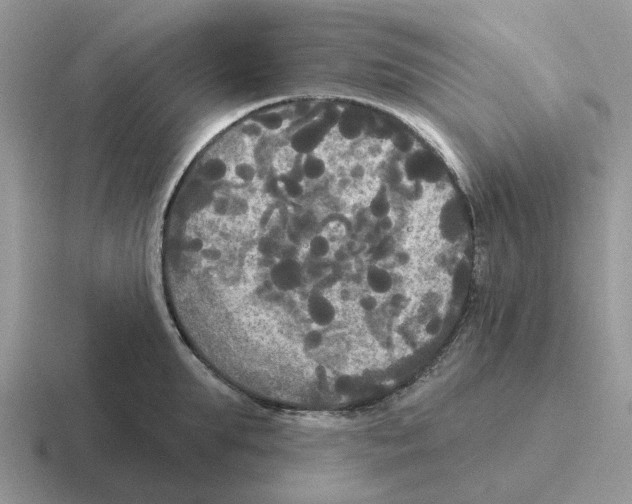 X0000116570903201001071152