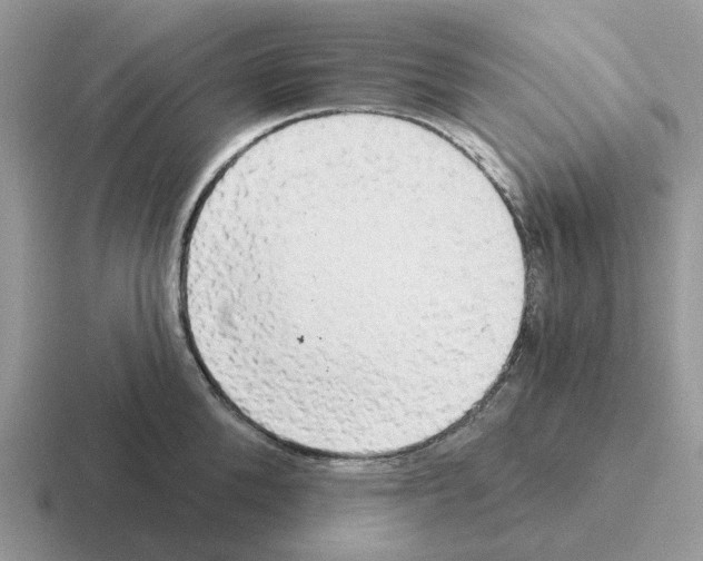 X0000116570904201001071152