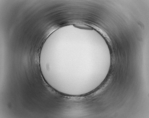 X0000116570905201001071152