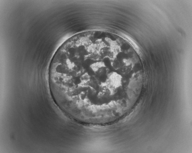 X0000116570907201001071152