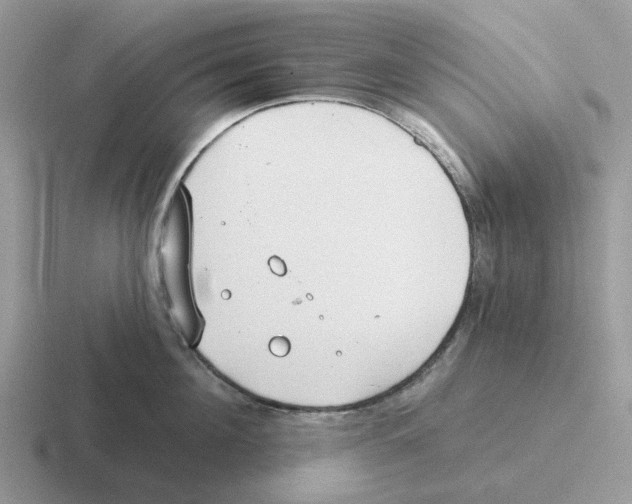 X0000116570908201001071152