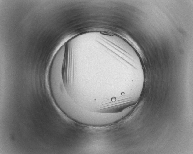 X0000116570909201001071152