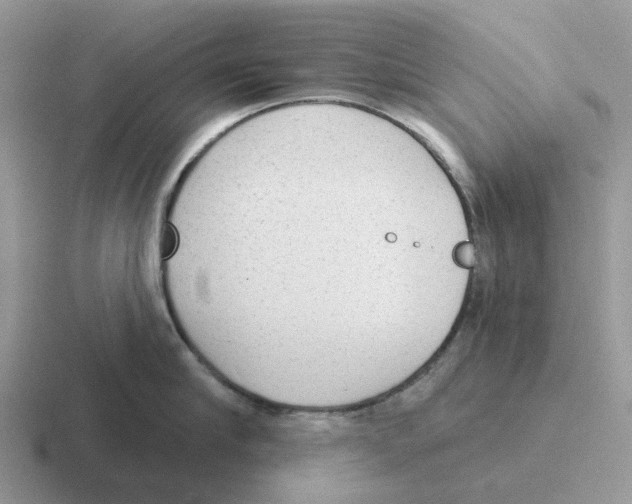 X0000116570910201001071152