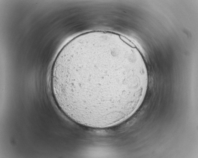 X0000116570911201001071152