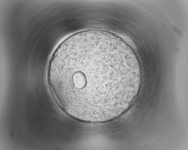 X0000116570912201001071152