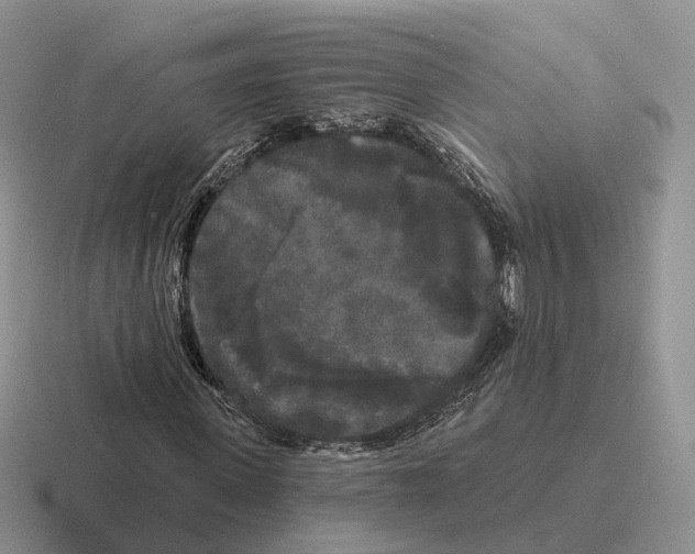 X0000116570915201001071151