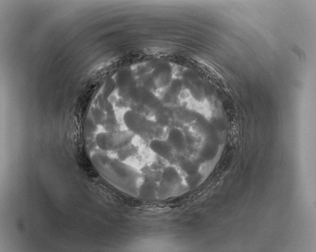 X0000116570917201001071151