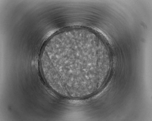 X0000116570921201001071152