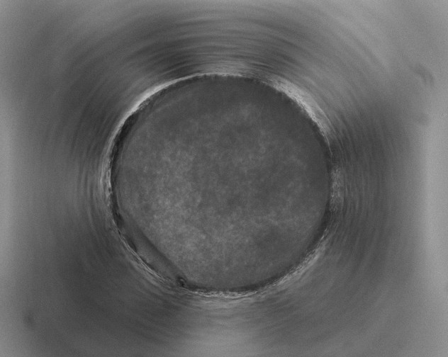 X0000116570923201001071152