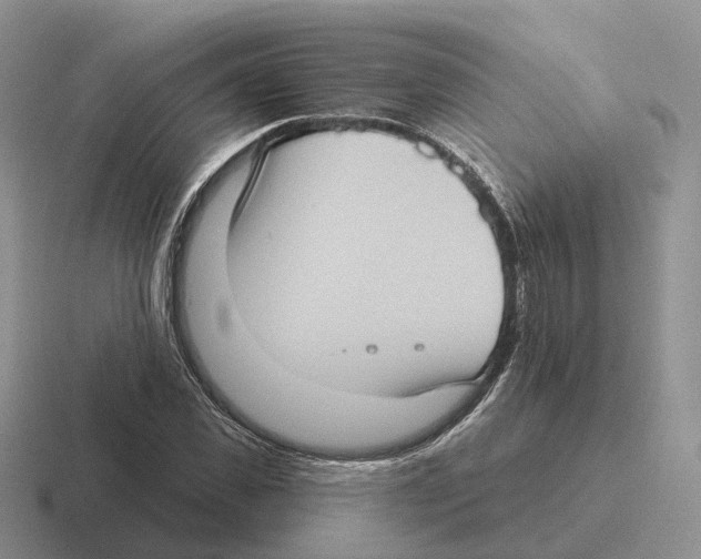 X0000116570925201001071152