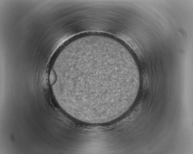 X0000116570926201001071152