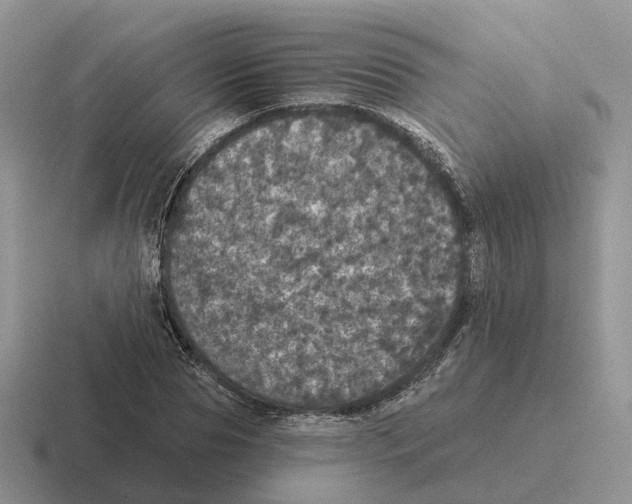 X0000116570929201001071152