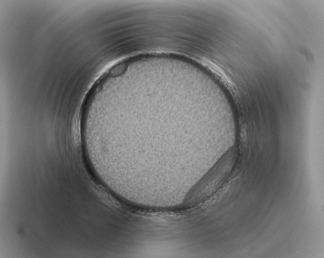 X0000116570934201001071152