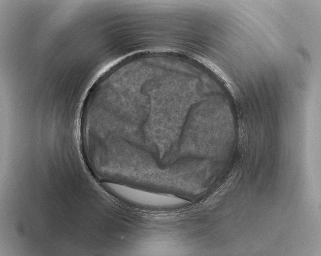 X0000116570935201001071152