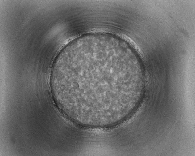 X0000116570937201001071152