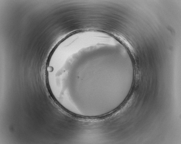 X0000116570941201001071152