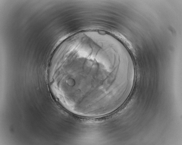 X0000116570945201001071152