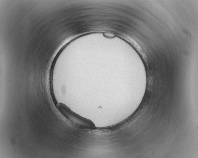 X0000116570947201001071152