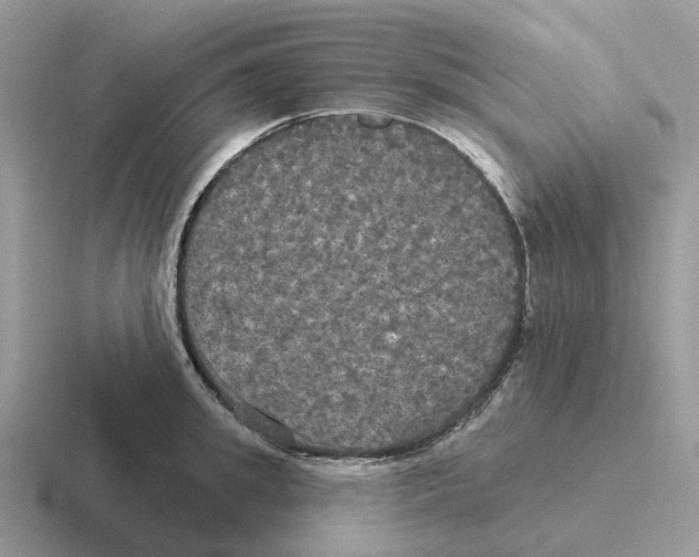 X0000116570949201001071152