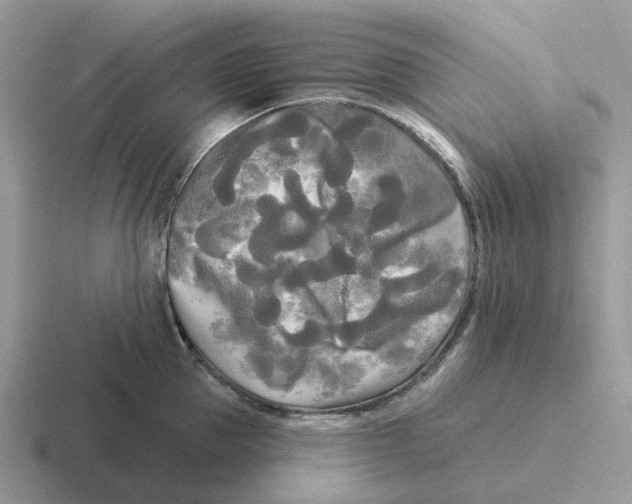 X0000116570953201001071152